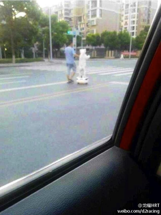 Illustration for article titled Oh Hey, It's a Dog on a Segway Going Down the Street